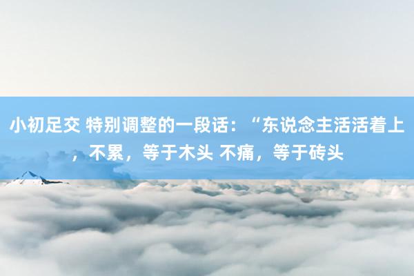 小初足交 特别调整的一段话：“东说念主活活着上，不累，等于木头 不痛，等于砖头