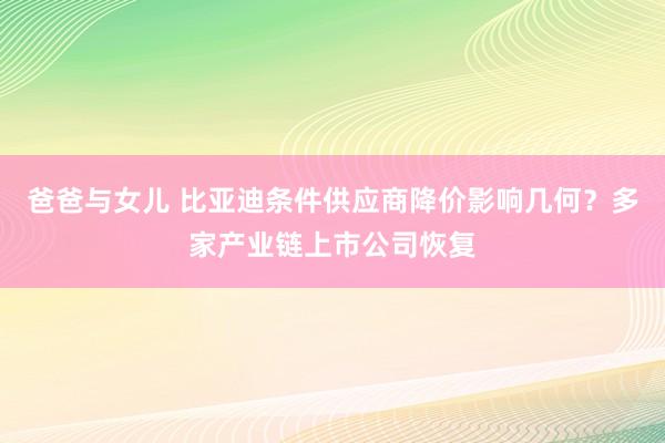 爸爸与女儿 比亚迪条件供应商降价影响几何？多家产业链上市公司恢复