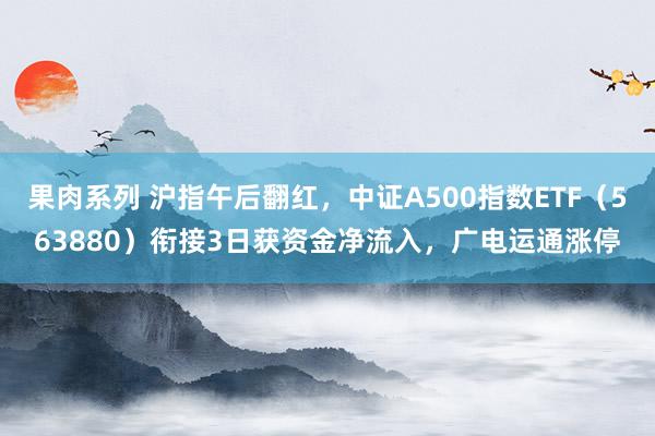 果肉系列 沪指午后翻红，中证A500指数ETF（563880）衔接3日获资金净流入，广电运通涨停