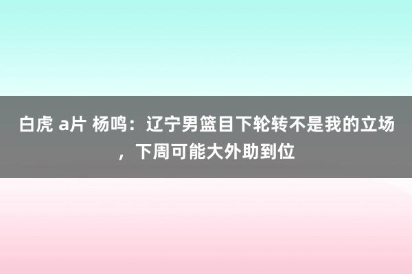 白虎 a片 杨鸣：辽宁男篮目下轮转不是我的立场，下周可能大外助到位