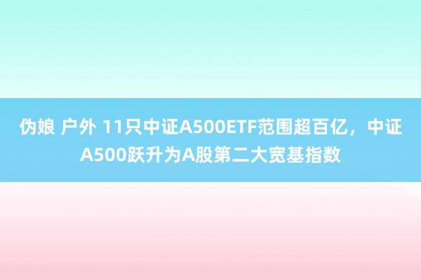 伪娘 户外 11只中证A500ETF范围超百亿，中证A500跃升为A股第二大宽基指数