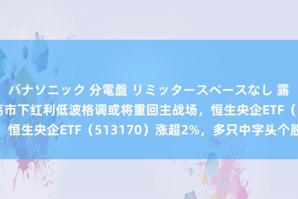 パナソニック 分電盤 リミッタースペースなし 露出・半埋込両用形 动荡市下红利低波格调或将重回主战场，恒生央企ETF（513170）涨超2%，多只中字头个股领涨