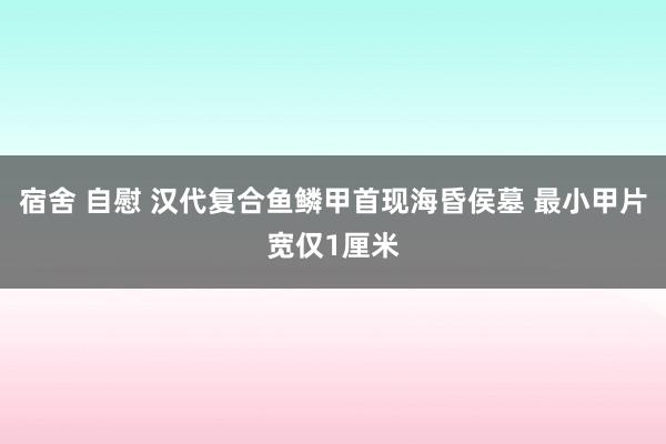 宿舍 自慰 汉代复合鱼鳞甲首现海昏侯墓 最小甲片宽仅1厘米