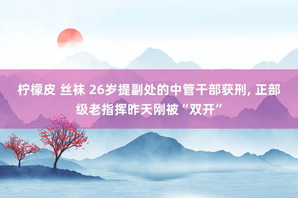 柠檬皮 丝袜 26岁提副处的中管干部获刑， 正部级老指挥昨天刚被“双开”