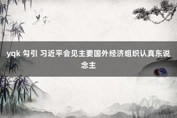 yqk 勾引 习近平会见主要国外经济组织认真东说念主