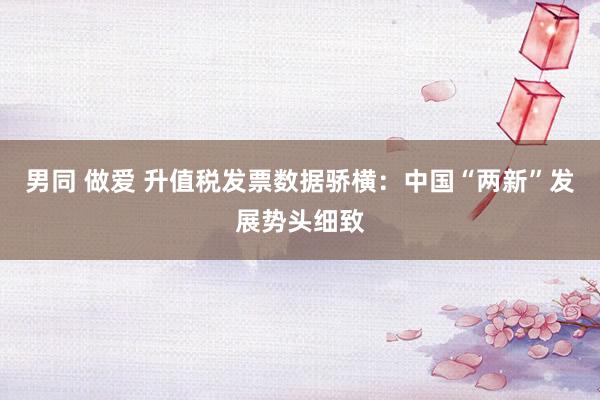 男同 做爱 升值税发票数据骄横：中国“两新”发展势头细致