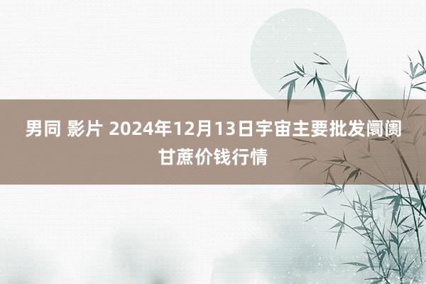 男同 影片 2024年12月13日宇宙主要批发阛阓甘蔗价钱行情