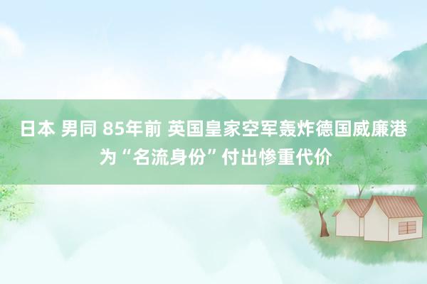 日本 男同 85年前 英国皇家空军轰炸德国威廉港 为“名流身份”付出惨重代价