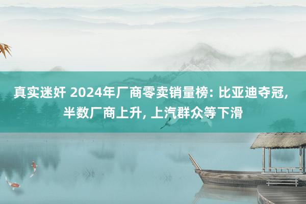 真实迷奸 2024年厂商零卖销量榜: 比亚迪夺冠， 半数厂商上升， 上汽群众等下滑