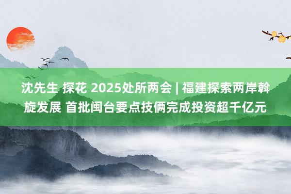 沈先生 探花 2025处所两会 | 福建探索两岸斡旋发展 首批闽台要点技俩完成投资超千亿元