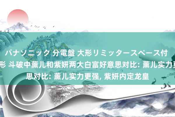 パナソニック 分電盤 大形リミッタースペース付 露出・半埋込両用形 斗破中薰儿和紫妍两大白富好意思对比: 薰儿实力更强， 紫妍内定龙皇